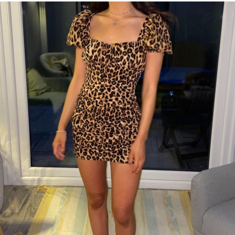 Zara Ruched Corset Style Leopard Print Dress